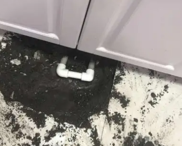 庄河查漏水哪家好